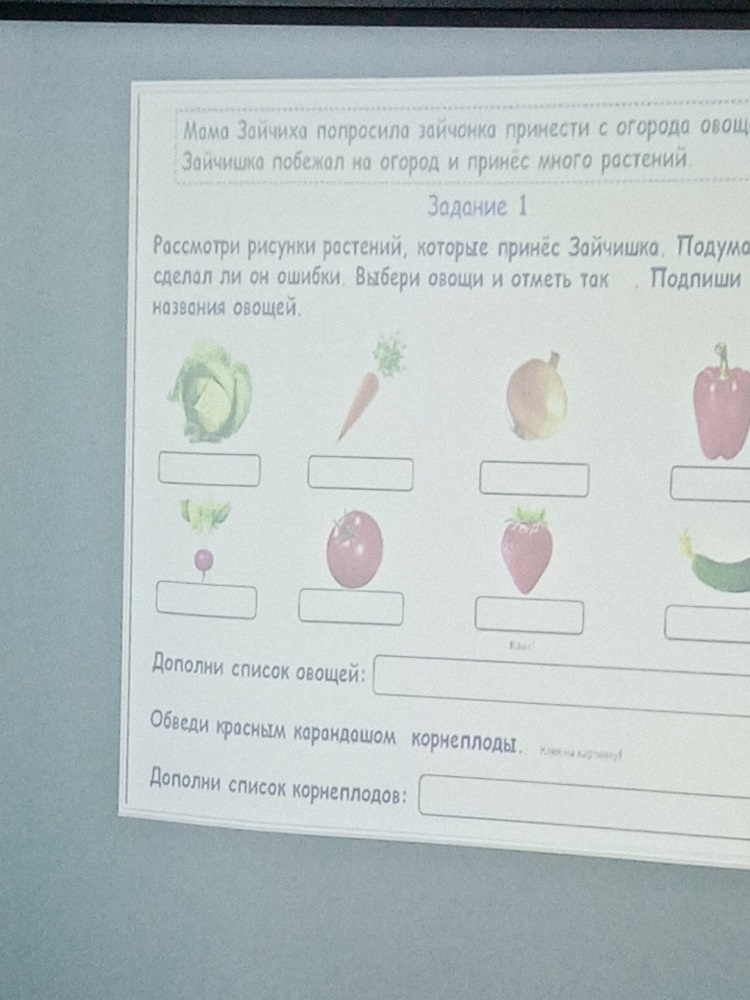 Конспект урока во 2 а классе по функциональной грамотности.