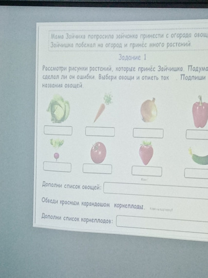 Конспект урока во 2 а классе по функциональной грамотности.